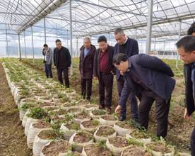 b8081fab7dffc4b606e9bb21bb63d46